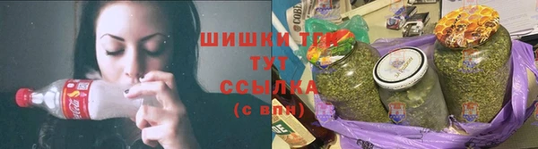 мяу мяу мука Арсеньев
