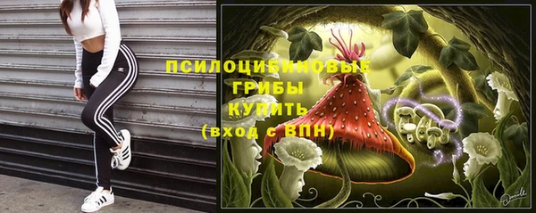 мяу мяу мука Арсеньев
