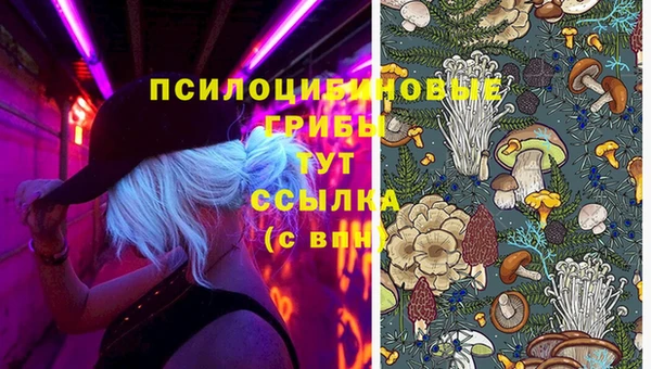 амф Армянск