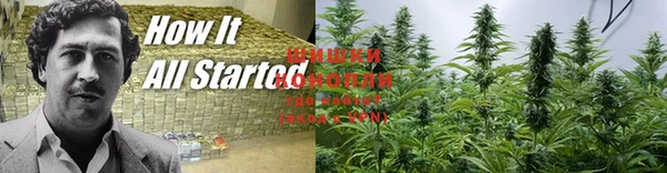 COCAINE Аркадак
