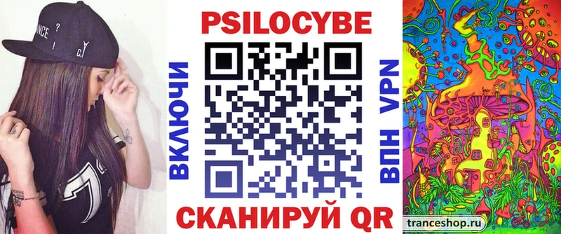 Псилоцибиновые грибы Cubensis  Переславль-Залесский 